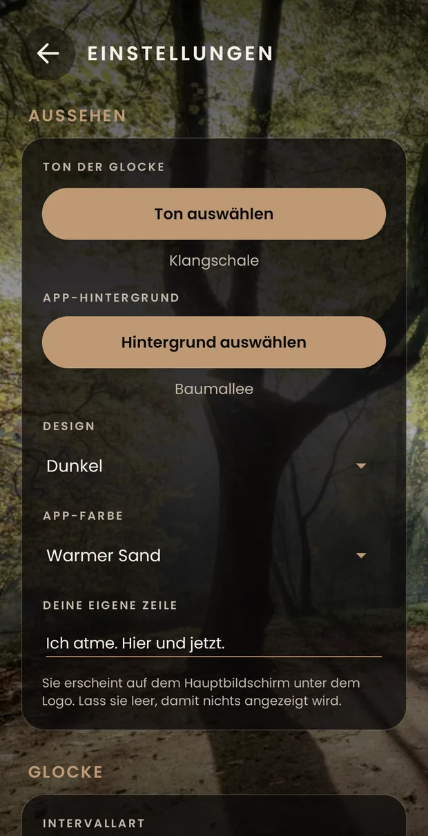 Der Anfang der Einstellungen: die Gruppe Aussehen, mit dem Knopf für den Ton der Glocke, dem für den Hintergrund, dem dunklen Design, der Farbe und deiner Zeile.