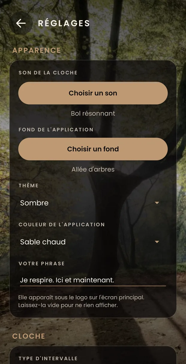 Le début des réglages : le groupe Apparence, avec le bouton pour choisir le son de la cloche, celui du fond, le thème sombre, la couleur et votre phrase.