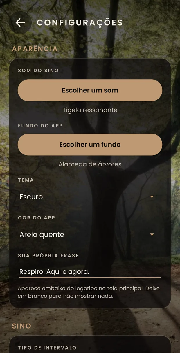 O começo dos ajustes: o grupo Aparência, com o botão para escolher o som do sino, o do fundo, o tema escuro, a cor e a sua frase.