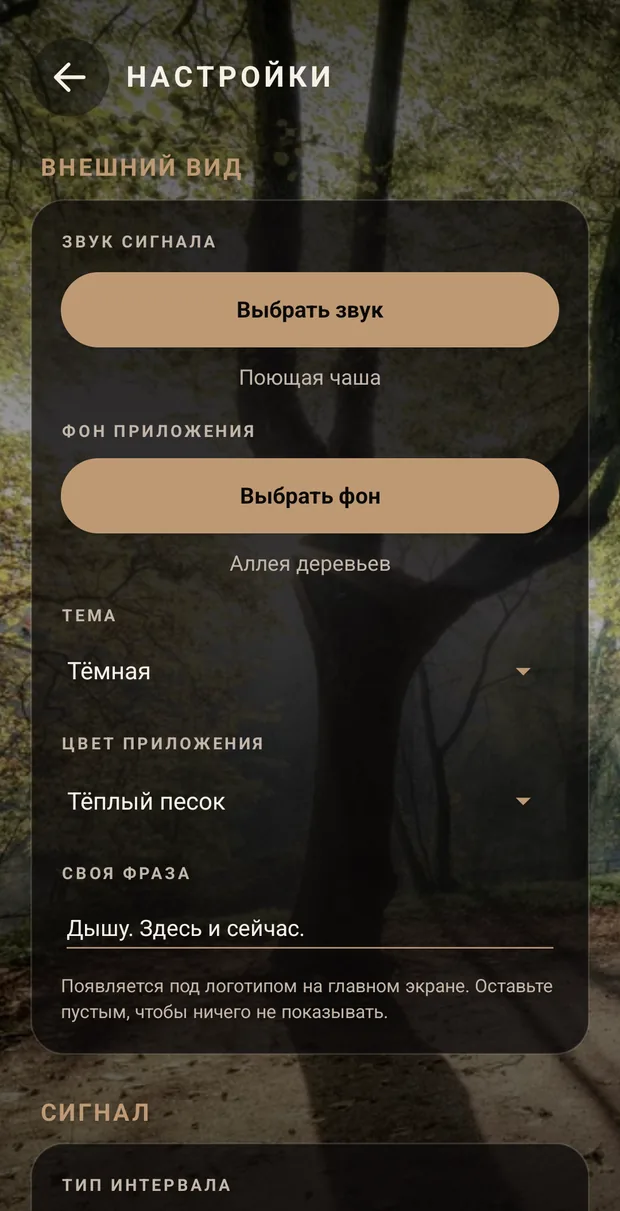 Начало настроек: группа «Внешний вид» с кнопкой выбора звука сигнала, кнопкой фона, тёмной темой, цветом и вашей фразой.
