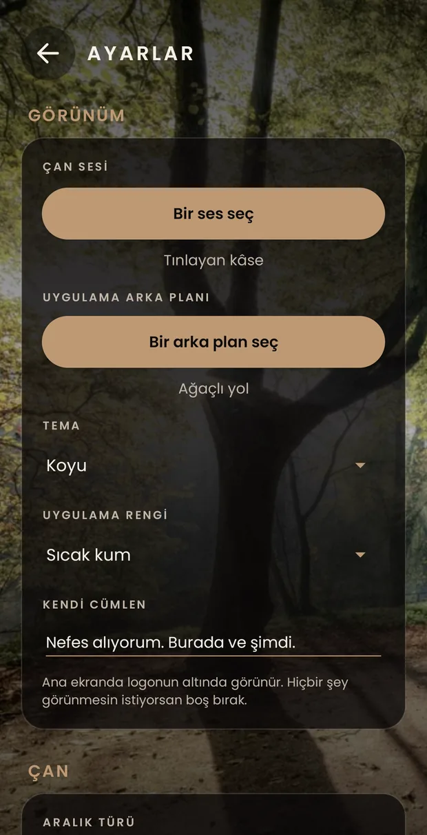 Ayarların başı: Görünüm grubu; çanın sesini seçme düğmesi, arka plan düğmesi, koyu tema, renk ve cümlen.