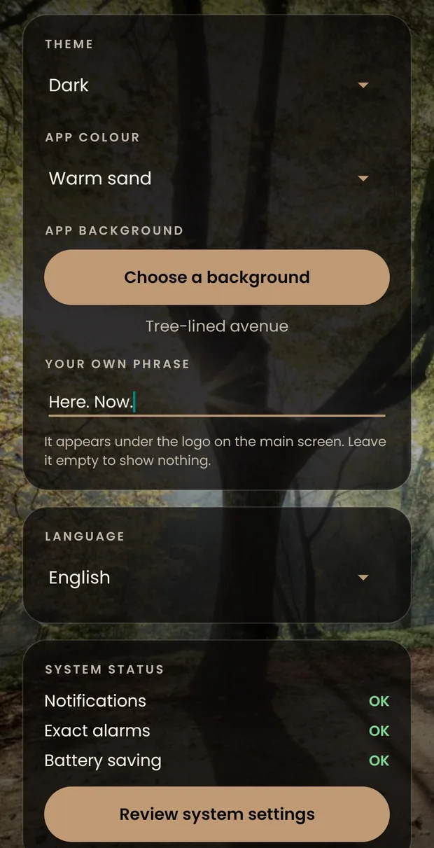 The appearance settings: theme set to dark, app colour set to warm sand, a background of your own, your own phrase, the language set to English, and the three system checks all reading OK.