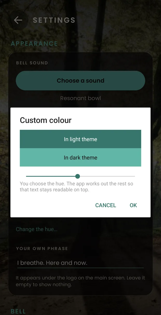 The custom colour picker open over the settings: two swatches showing how the chosen hue looks in the light theme and in the dark one, and below them a bar to slide between hues.