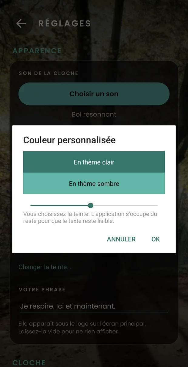Le sélecteur de couleur personnalisée ouvert par-dessus les réglages : deux échantillons montrant le rendu de la teinte choisie en thème clair et en thème sombre, et en dessous une barre pour glisser d’une teinte à l’autre.
