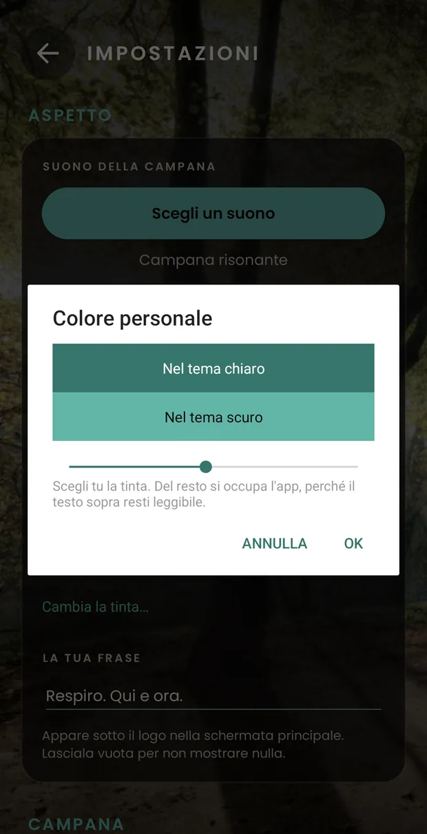 Il selettore del colore personale aperto sopra le impostazioni: due campioni mostrano come viene la tinta scelta in tema chiaro e in tema scuro, e sotto una barra per scorrere tra le tinte.