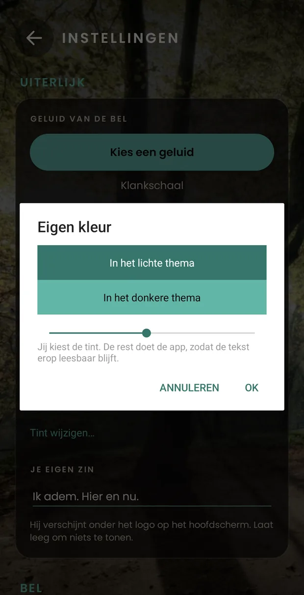 De keuze van je eigen kleur, geopend over de instellingen: twee stalen laten zien hoe de gekozen tint eruitziet in het lichte en in het donkere thema, en daaronder een balk om tussen tinten te schuiven.