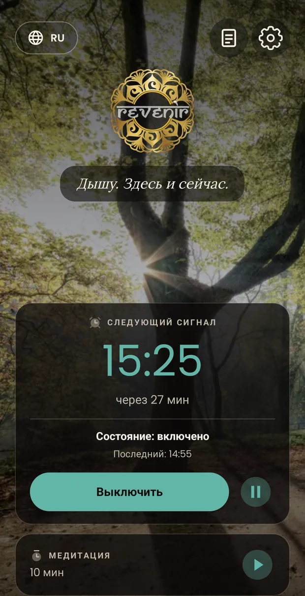 Главный экран в оттенке, выбранном вручную, в тёмной теме: время следующего напоминания и кнопки того же цвета.