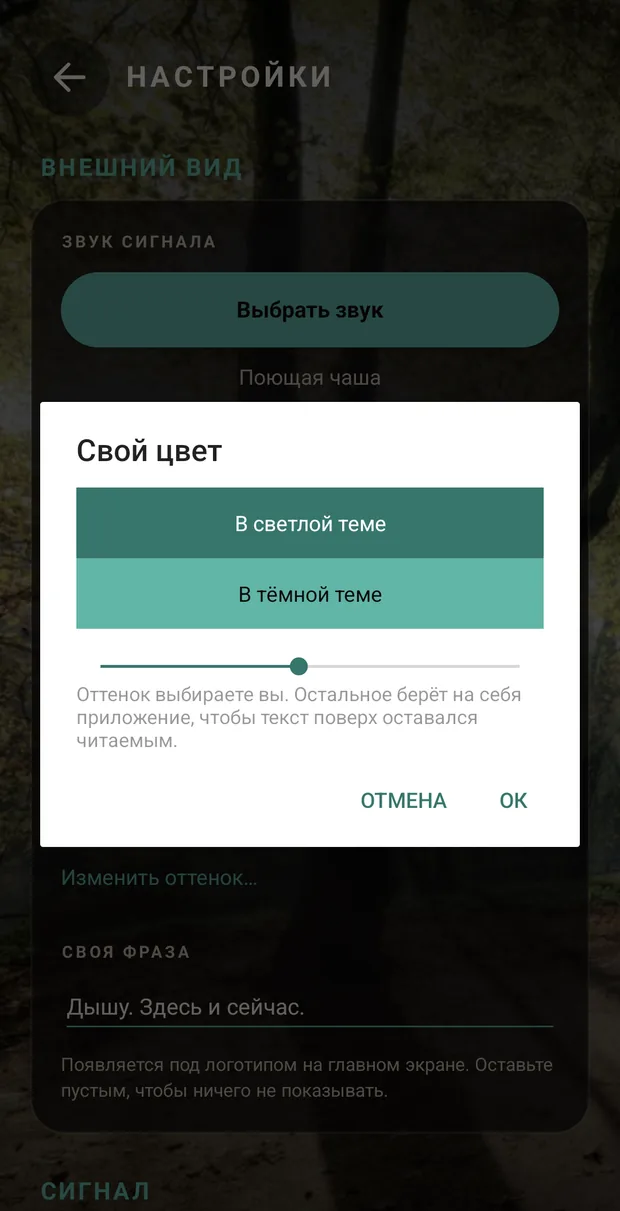 Выбор своего цвета поверх настроек: два образца показывают, как выглядит выбранный оттенок в светлой и в тёмной теме, а ниже — полоса для перехода между оттенками.