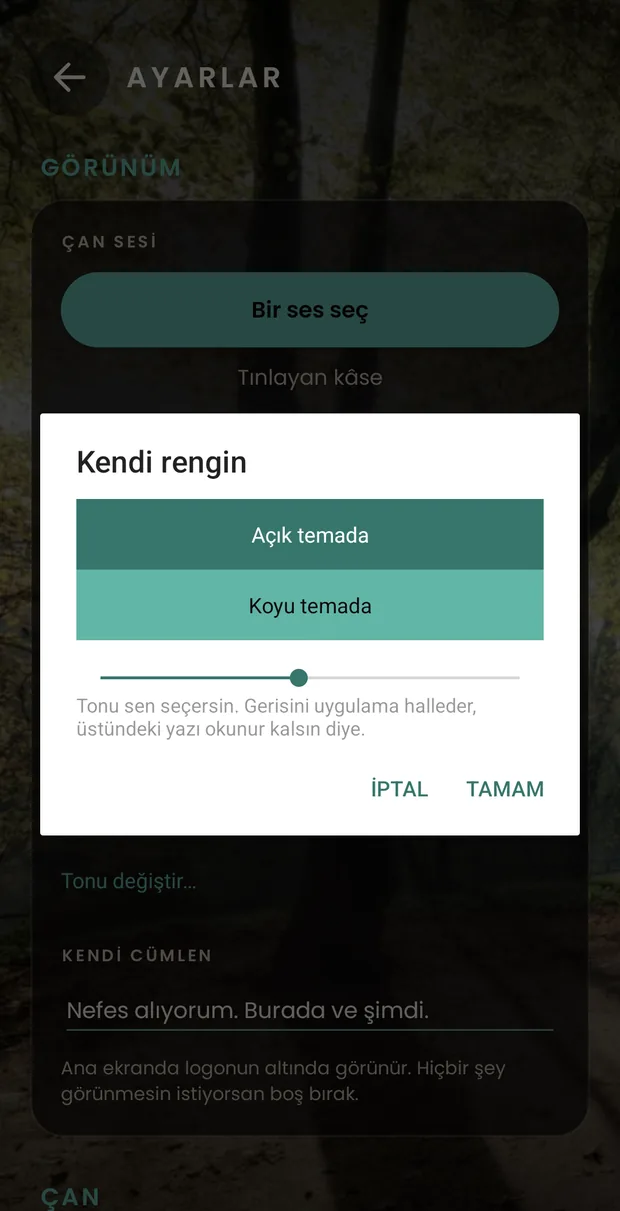 Ayarların üzerinde açılmış kendi rengini seçme penceresi: seçilen tonun açık ve koyu temada nasıl durduğunu gösteren iki örnek ve altında tonlar arasında kaydırmak için bir çubuk.